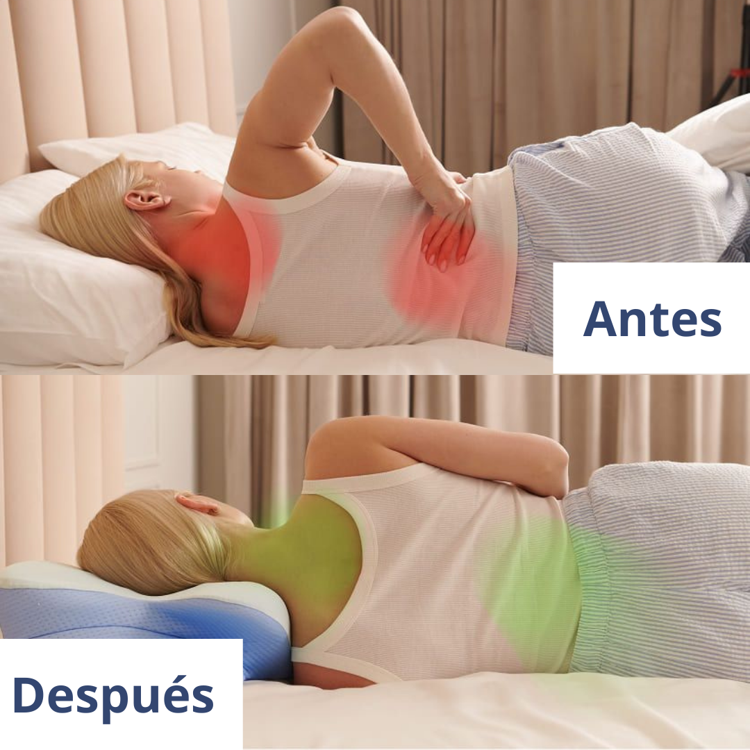 Almohada Seraphis™ Ergo Cervical